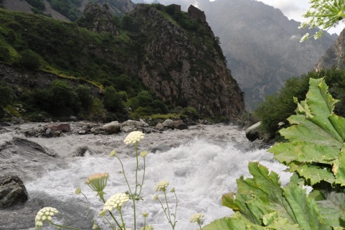 როიალ ბილდინგ ჯორჯია თერგზე 13,2 მეგავატიან ჰესს ააშენებს 