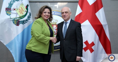 გვატემალის  საგარეო საქმეთა მინისტრი  ჩამოვიდა 