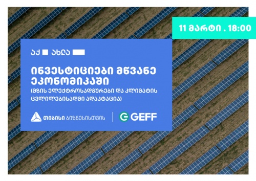 თბილისში ონლაინ ფორუმი ინვესტიციები მწვანე ეკონომიკაში ჩატარდება