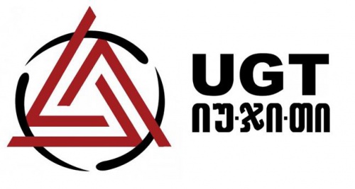 UGT IT ინდუსტრიაში კვლავ მონოპოლისტია