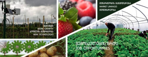 USAID-ის პროექტი Zrda პანკისის ხეობაში მცირე გრანტების პროგრამას იწყებს     