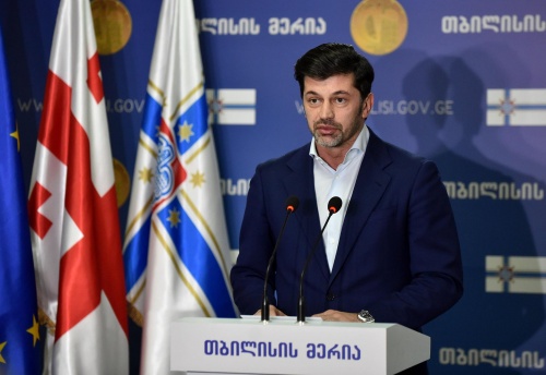 მერიამ დიდ დიღომში, გუდვილის მიმდებარედ სპორტული მაღაზიის მშენებლობა შეაჩერა
