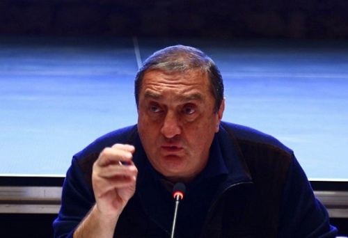 ფონდის რეფორმირება თავად საგანელიძეს სურდა 