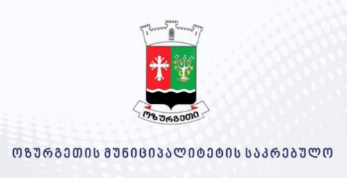 ოზურგეთში სახელმწიფო ტენდერი 3 თვის დარეგისტრირებულმა კომპანიამ მოიგო