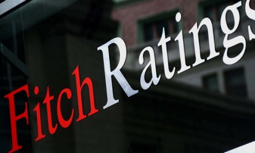 Fitch ლარიზაციისთვის ნაბიჯებს ითხოვს 