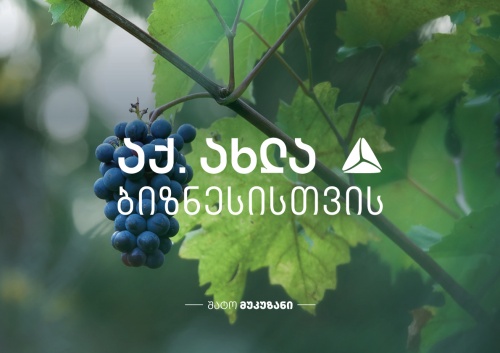 შატო მუკუზანმა თიბისის მხარდაჭერით საწარმო გააფართოვა