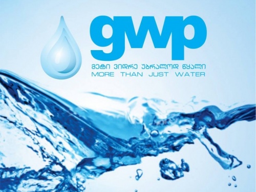 GWP-ში თანამშრომელთა პროფესიული განვითარების გრძელვადიანი პროგრამა ამოქმედდა