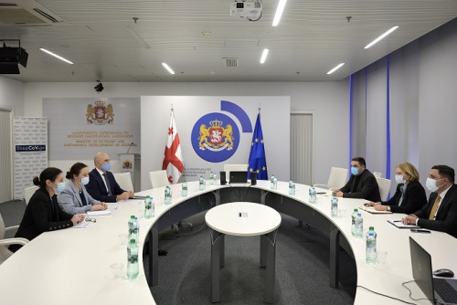 ნათია თურნავამ EBRD - ის წარმომადგენელთან  განახლებადი ენერგიის  პოტენციალი განიხილა  