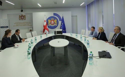 ნათია თურნავა ევროპის ენერგეტიკული გაერთიანების დირექტორს შეხვდა