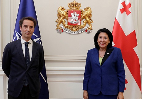 პრეზიდენტი ნატოს გენმდივნის წარმომადგენელს შეხვდა