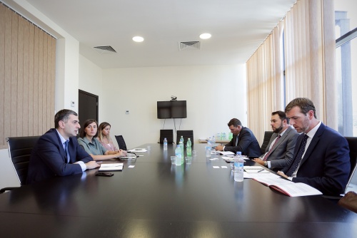 ამერიკული საინვესტიციო ფონდები საქართველოს საინვესტიციო გარემოს სწავლობენ