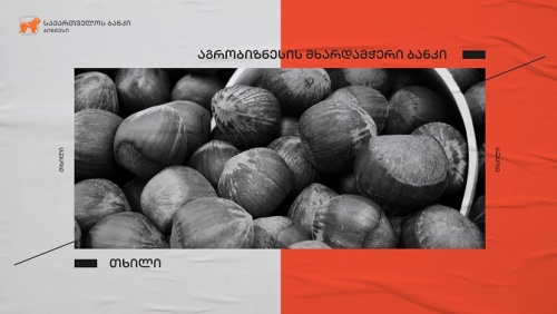 BOGG-ის მხარდაჭერით თოლე თხილის წარმოებას ზრდის