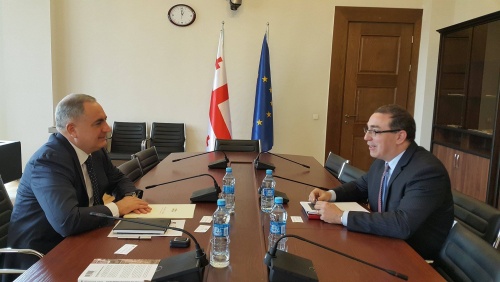 ირაკლი კოვზანაძე საერთაშორისო სავალუტო ფონდის მუდმივ წარმომადგენელს საქართველოში შეხვდა