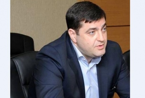 გრიგოლ ნემსაძემ ევექსიდან გუბერნატორის თანამდებობაზე გადაინაცვლა 