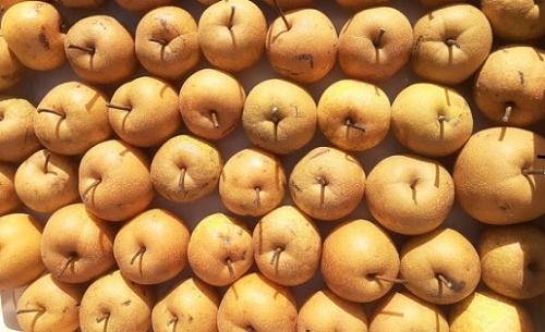 EBRD AgroGori-ს ეხმარება