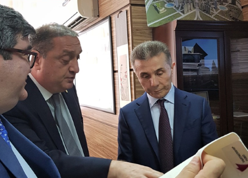 ივანიშვილი საპარტნიორო ფონდის პროექტებით დაინტერესდა