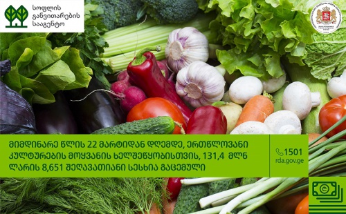 ერთწლოვანი კულტურების მოსაყვანად 131,4 მლნ ლარი დაიხარჯა ერთწლოვანი კულტურების მოსაყვანად 131,4 მლნ ლარი დაიხარჯა
