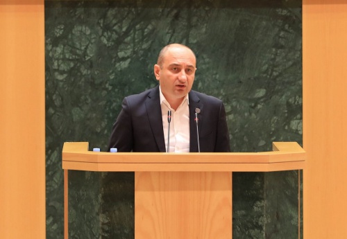 პარლამენტმა კონკურენციის სააგენტოს 2021 წლის ანგარიში მოისმინა