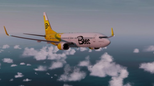 Bees Airline კიევის რეისები დაამატა