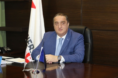 საგანელიძე:  მიწა, სადაც ჩაის აღორძინების პროექტი განხორციელდება, სახელმწიფოს საკუთებაში დარჩება  