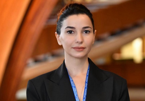 ქვრივიშვილი: ავიაბაზარი 70%-ით აღდგა
