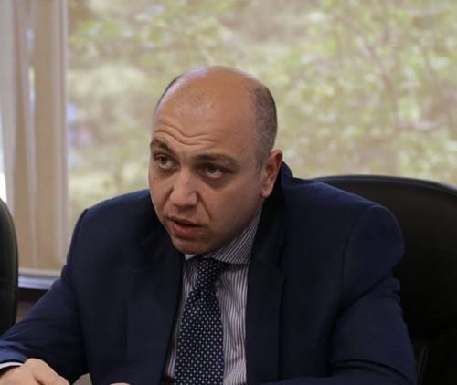ქარსელაძე: ეს არის სიცრუე, რომ 1 ლარი მაინც არის დახარჯული იმ გზის მოსაწყობად, რომელიც განკუთვნილი იყო ხეების გადასატანად