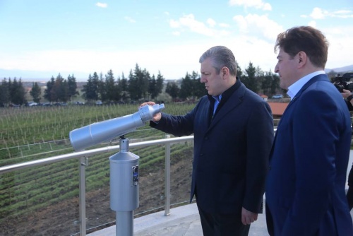კახეთში სასტუმრო Akhasheni Wine Resort გაიხსნა 