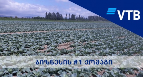 აგრო ბიზნესის ხელშეწყობა გრძელდება - ვითიბი 