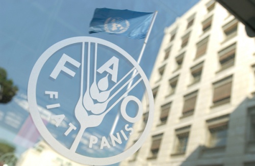 აგვისტოში FAO-ს სურსათის ფასების ინდექსი გაიზარდა