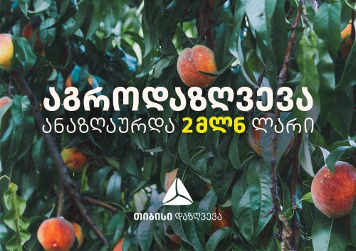 თიბისი დაზღვევამ 2019 წელს ფერმერებს ₾2 მლნ-ის ზარალი აუნაზღაურა