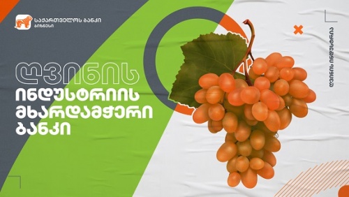 ჭიკაანში იტალიური ვაზი გაშენდება 